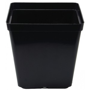 Square Pot 13cm (1.5L) - Easy draining black plastic square pot.