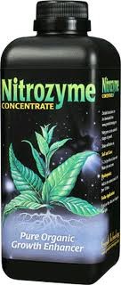 Nitrozyme 1L (Home Hydro)