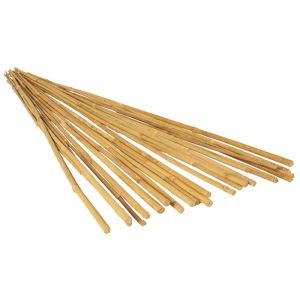 Bamboo Stakes - Pack of 25 (Home Hydro)