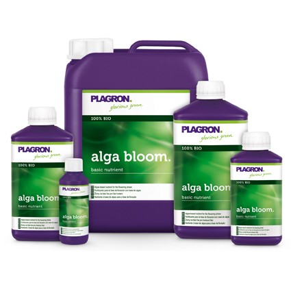  Alga Bloom 1L Plagron (Home Hydro)