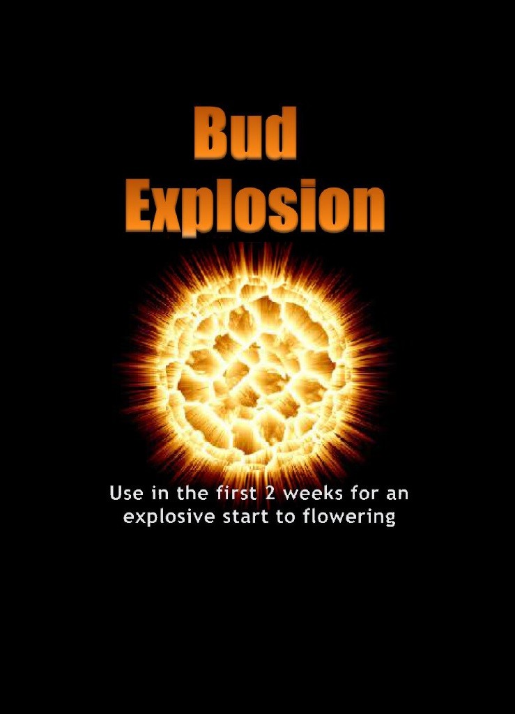 Evoponic - Bud Explosion (0-48-34) 40g