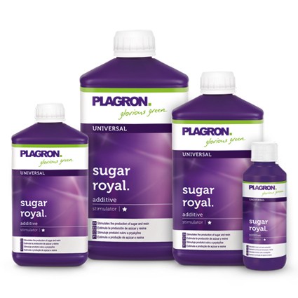 Sugar Royal 100ml Plagron (Home Hydro)