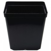 Square Pot 13cm (1.5L) - Easy draining black plastic square pot.