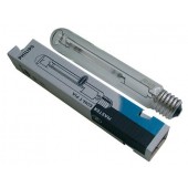 600w Philips Son-T PIA Plus HPS Lamp (Home Hydro)