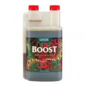 CANNA Boost Accelerator 1L (Home Hydro)