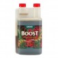 CANNA Boost Accelerator 250ml