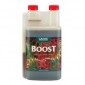 CANNA Boost Accelerator 250ml