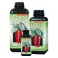 Chilli Focus 100ml