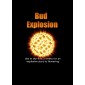 Evoponic - Bud Explosion (0-48-34) 40g