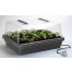 Stewarts Large Heated Propagator (52x41.5x28cm) (Home Hydro)